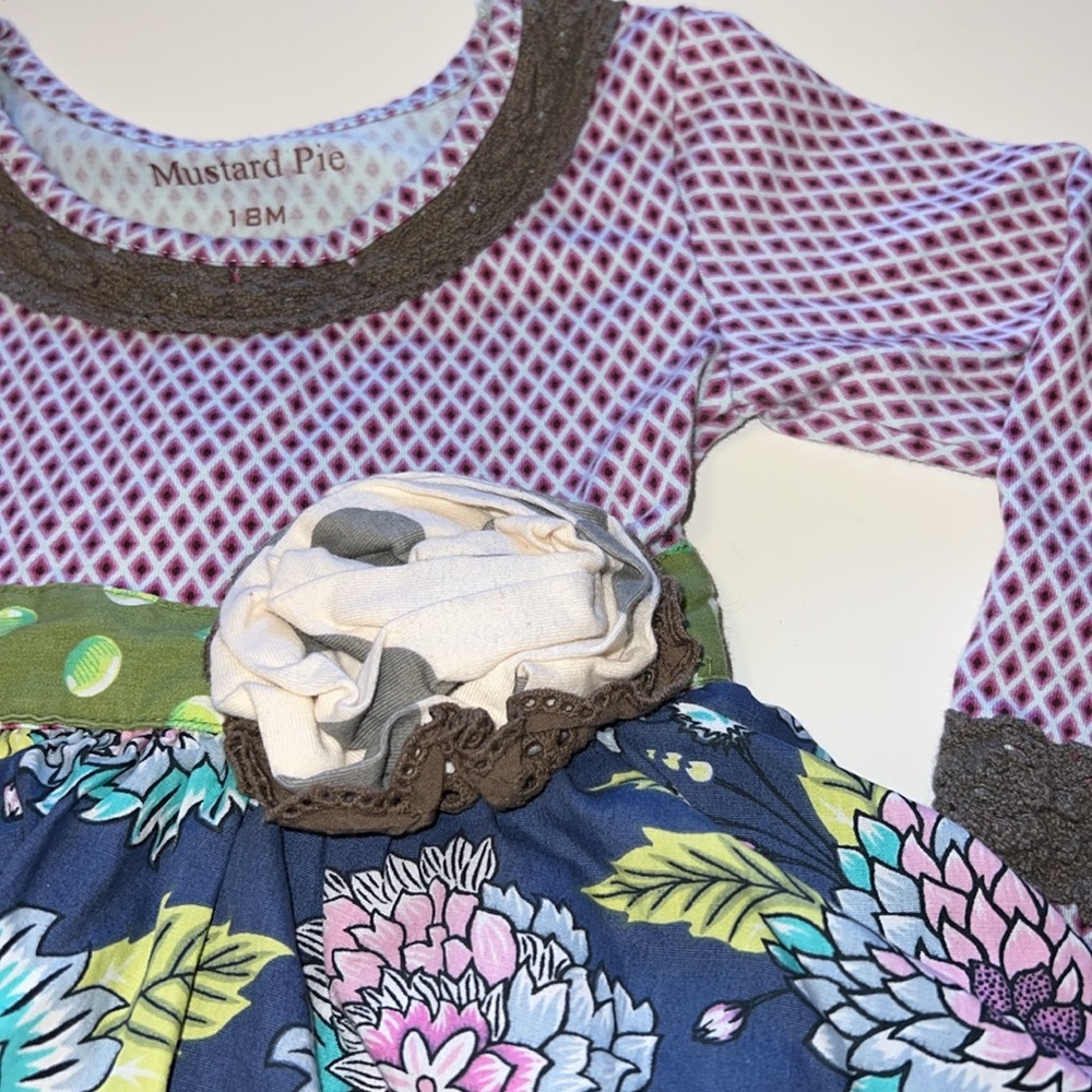 Girls 18 month Mustard Pie long sleeve dress - Picture 6 of 14